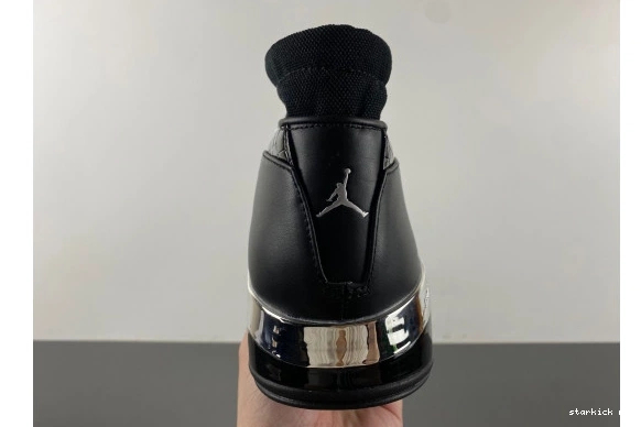 303891-004  Silver 17 303891-004  Jordan Metallic Black 0101